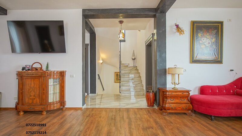 Bran, Brasov, vila deosebita, lux, la munte,